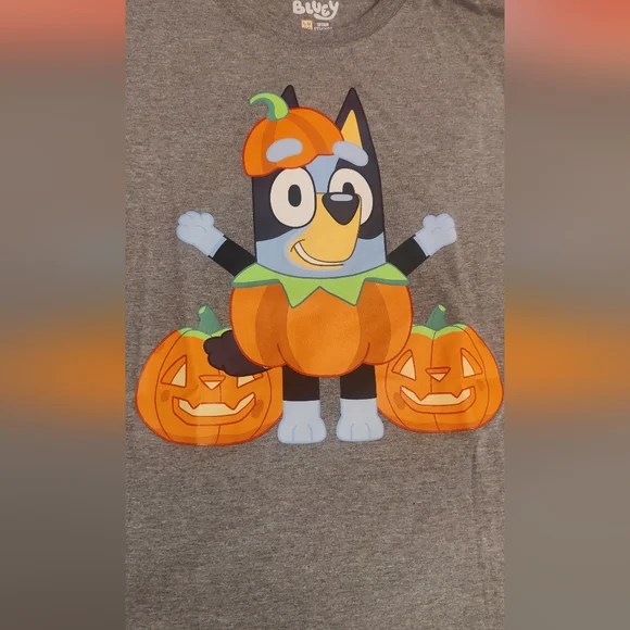 🎉4/$20Viral Bluey Glow In The Dark Matching Family Halloween-Adult Med - Picture 5 of 6